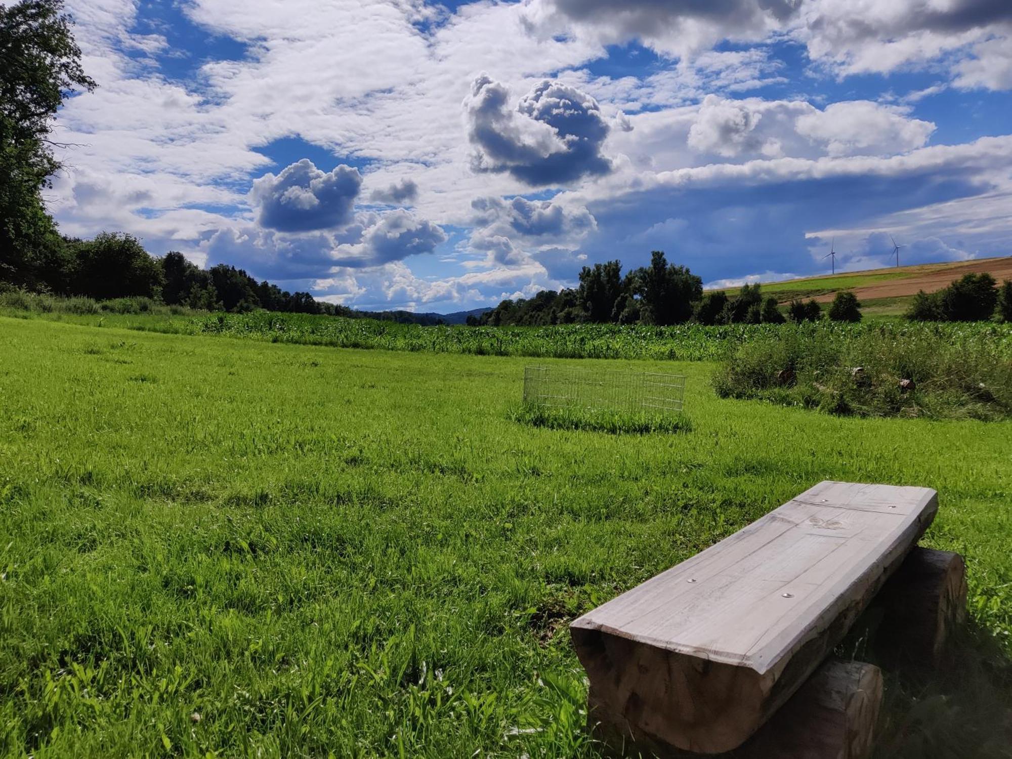 Appartement Herbst Edelsfeld
